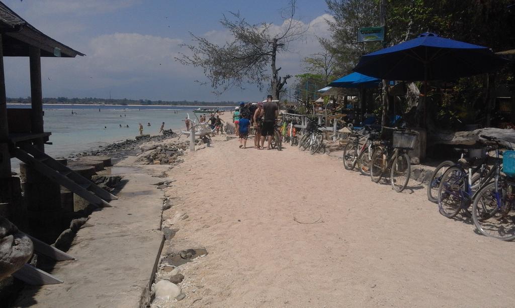 גילי טרוונגן Coral Beach Pizza Cottages מראה חיצוני תמונה