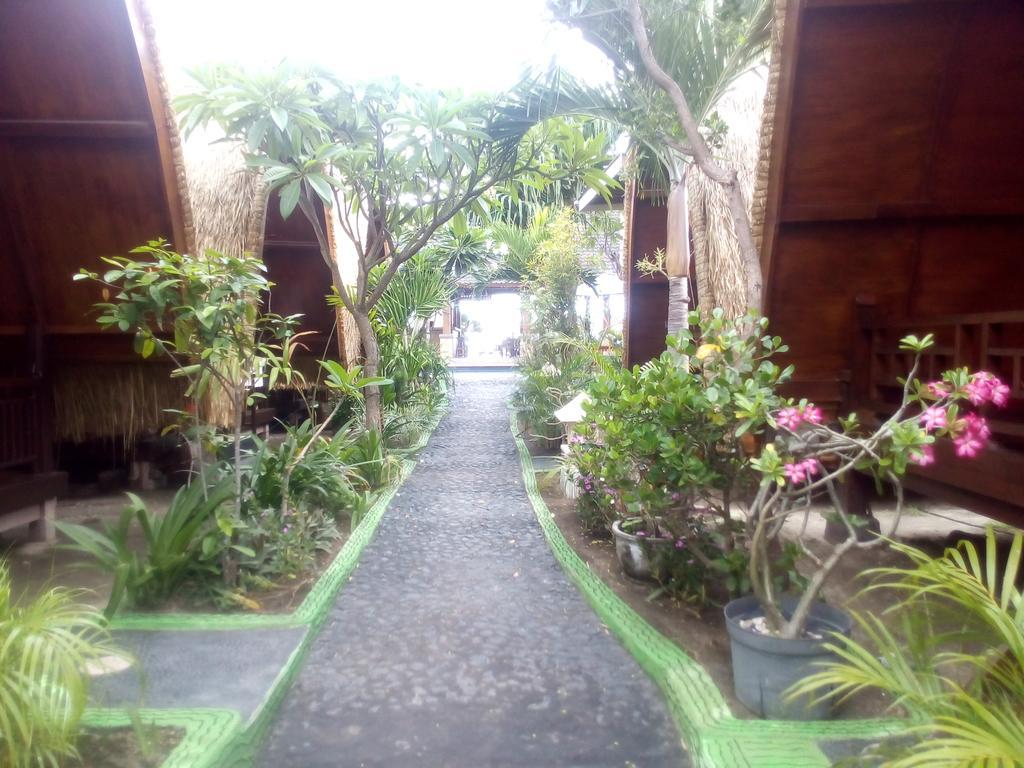 גילי טרוונגן Coral Beach Pizza Cottages מראה חיצוני תמונה