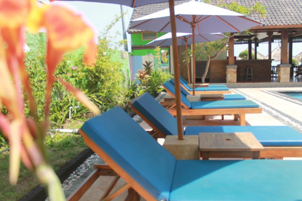 גילי טרוונגן Coral Beach Pizza Cottages מראה חיצוני תמונה