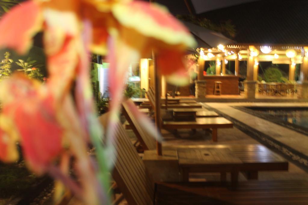 גילי טרוונגן Coral Beach Pizza Cottages מראה חיצוני תמונה